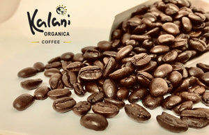 100% organic 100% arabica coffee bean